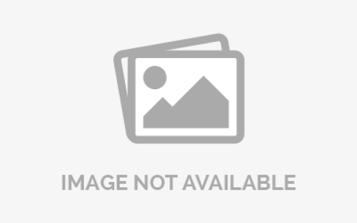 Welcome to Tangled in Webs 2026: Import Year & Expo Lineup