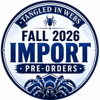 IMPORT 2026