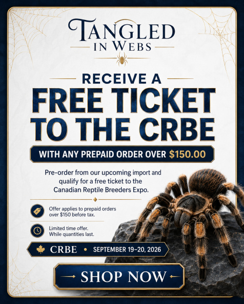 tangled in webs canadian reptile expo
